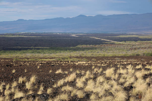 Lava is very common in Hawaii and nowhere more than on Big Island.  This is a view near Kona showing an arid landscape on the dry side of the island.  Most of the rain falls on the Hilo side of the giant volcanoes.