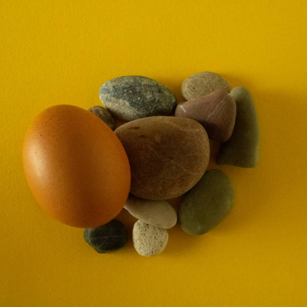 istock A little hen's egg on a gray stone basks in the sun on a summer Easter day 2187456074