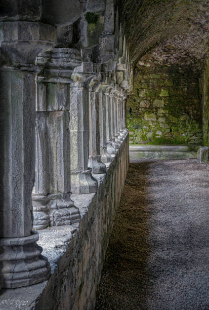 istock Sligo Abbey, perspective of columns 2187465433