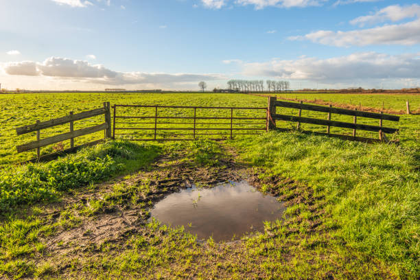 Pool of water in front of a closed iron gate in front of a vast grassland in a Dutch polder. The clouds in the sky are reflected in the mirror-smooth water surface.