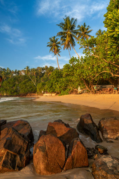 istock Beach, Mirissa, South Coast, Sri Lanka 2187467042