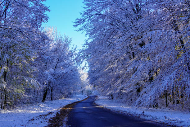 istock Gorgeous autumn road landscape with light dusting of snow 2187468082