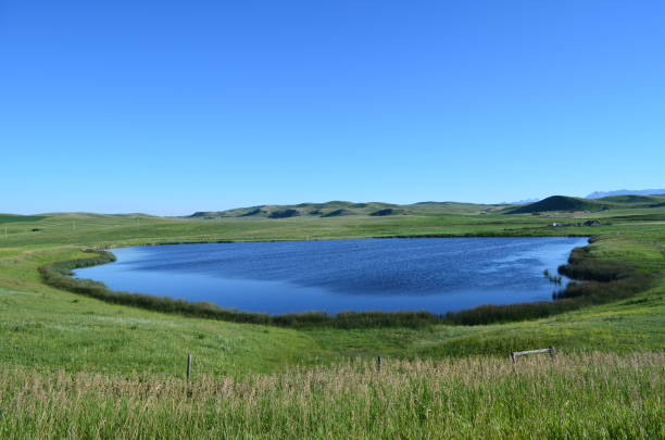In prairie provinces of Canada , many farms have ponds for livestock to drink water.  This is one of those ponds. Reflecting the sky, it's as blue as the ocean.