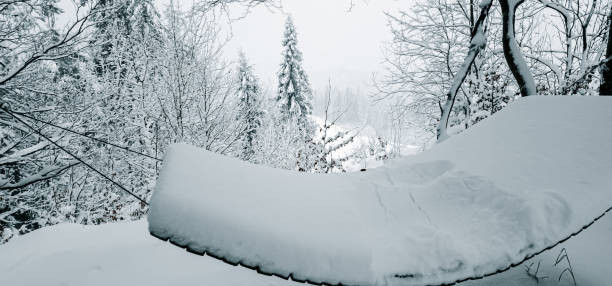 Photo was taken near Gospic town, Croatia during Christmas holidays