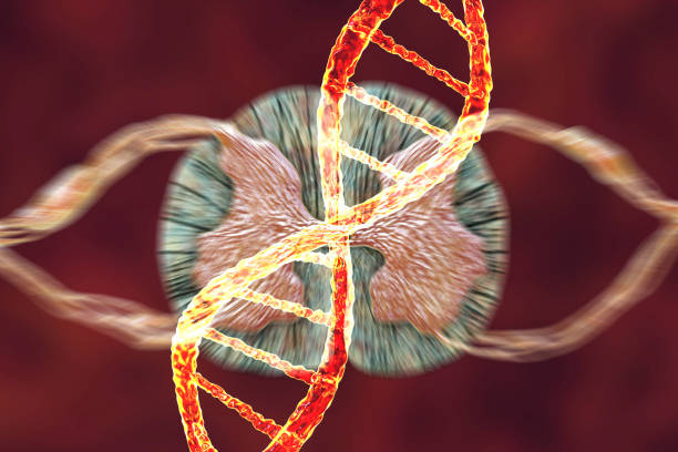 Hereditary spinal cord disorders, conceptual computer illustration. Mutations in the DNA leading to spinal cord diseases, such as spinal muscular atrophy, and other.