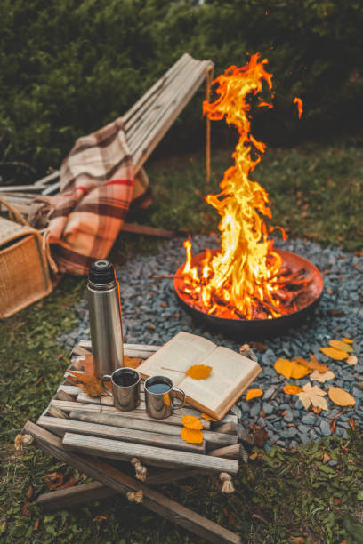 istock Book, thermos and fire, cozy autumn 2187472224
