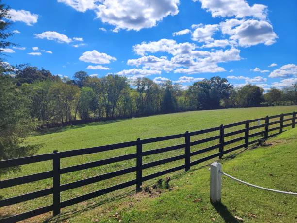 istock Bright blue sky white clouds green field 2187472815
