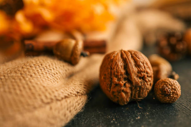Cozy autumn photo, acorns, nuts, cinnamon.