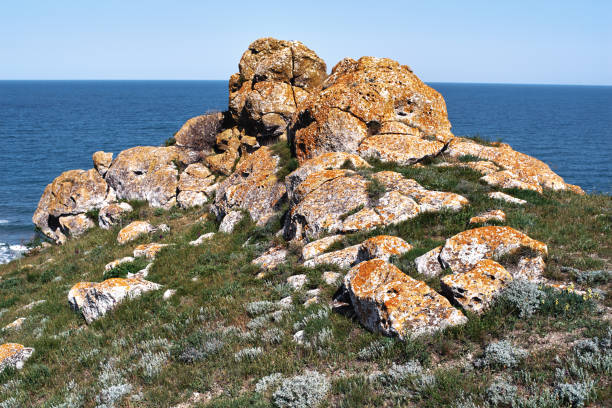 Blue sea shore with rocks and green grass, Crimea