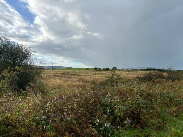 istock Countryside near Whitehaven 2187476025