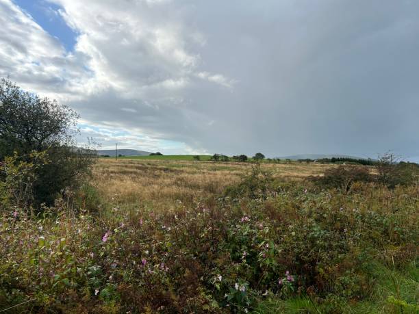 istock Countryside near Whitehaven 2187476209