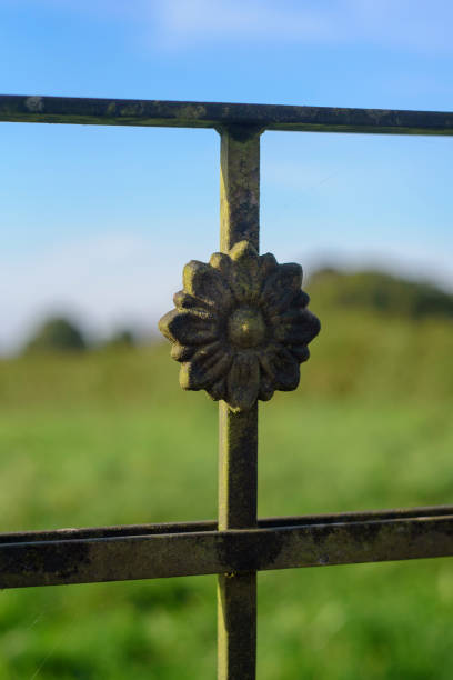 Weathered ornamental  flower in rustic fence