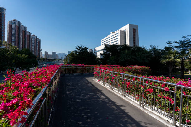 Both sides of the pedestrian overpass are covered in flowers