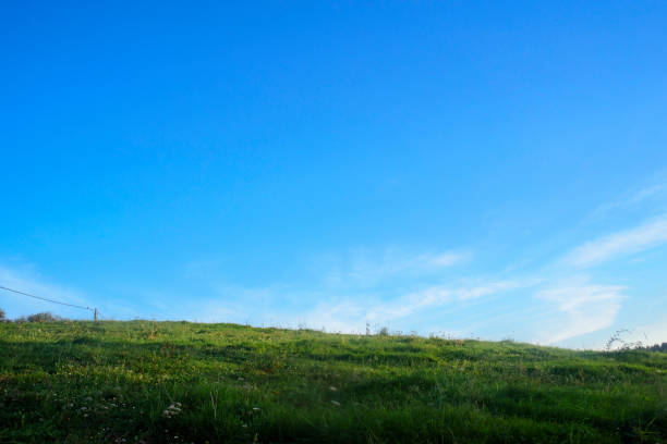 Green grass hill and blue sky