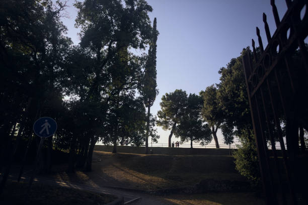 Silhouette of a row of trees in a park on the top of a fort at sunset