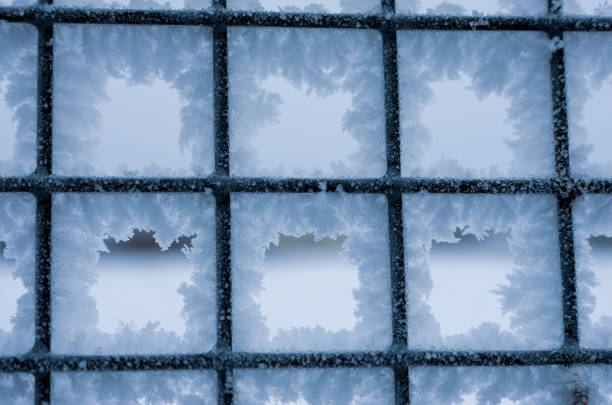 Frost sparkles on tree branches, frost creates icy patterns, and snow cover gives nature a winter wonderland.