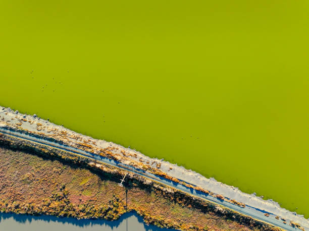 istock South Bay and San Francisco 2187492940