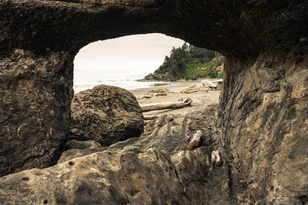istock Tunnel Through Rock Formation Along Coast In Olympic 2187515537