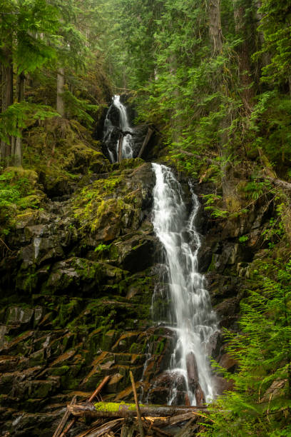 istock Water Tumbles Down Ranger Falls In Mount Rainier 2187516246