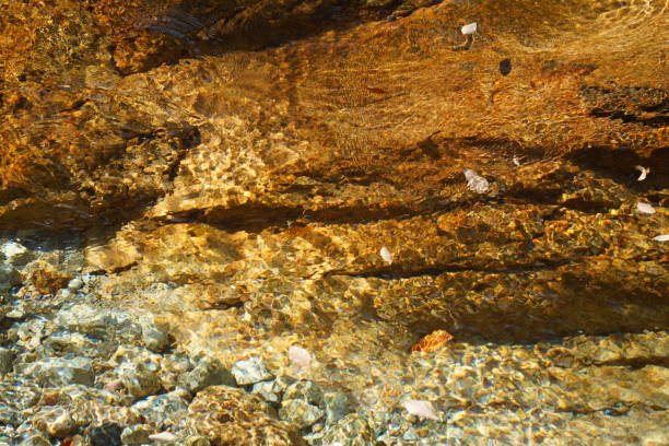 Rocks and stones in a valley with clear water flowing