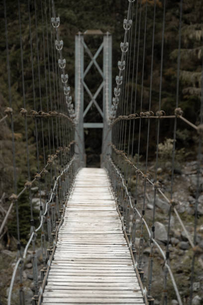 istock Carbon River Suspension Bridge Spans Traverse in Mount Rainier 2187517885