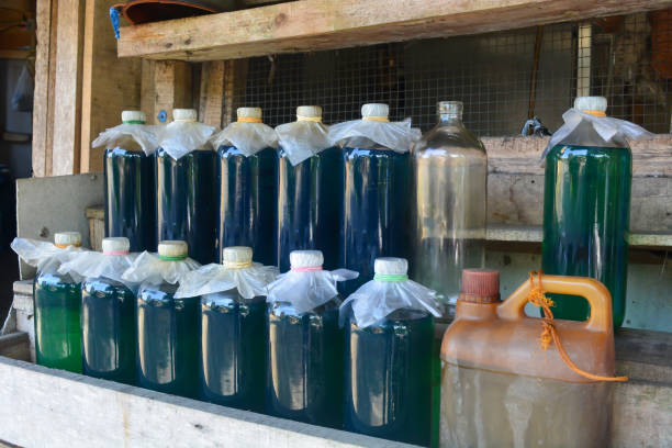 istock Gasoline sold in retail uses liter bottles. 2187520307