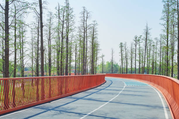 istock Cycling Road in Chengdu, Sichuan, China 2187523055