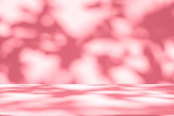 istock Wall interior background, studio, and backdrops show products. with shadow from window color white and pink light. background for text insertion and presentation of product 2187523984