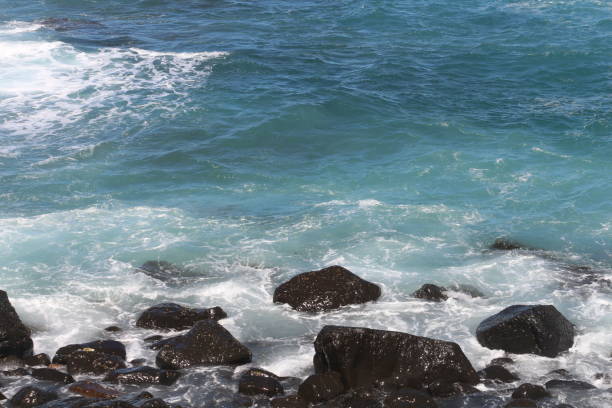 Foamy waves rhythmically crash against dark rocks along a vibrant blue shoreline under a clear sunny sky. The scene captures the beauty of the ocean's movement and its interaction with land.