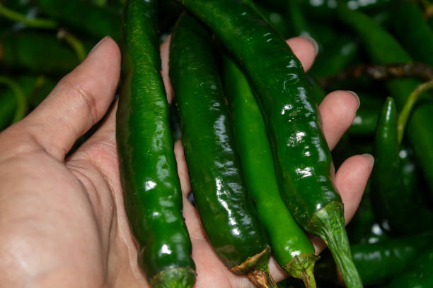 istock Isolated green chilies (Capsicum frutescens) that look fresh. Indonesian ingredients 2187529855