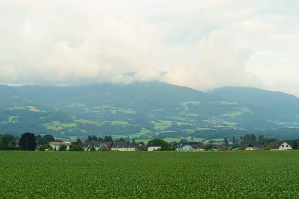 The vast expanse of vibrant green fields unfolds under a cloudy sky, while distant mountains tower majestically, shrouded in mist and offering a peaceful, picturesque view of rural Switzerland.