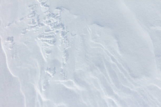 istock The snow is white and the ground is covered in it 2187534471