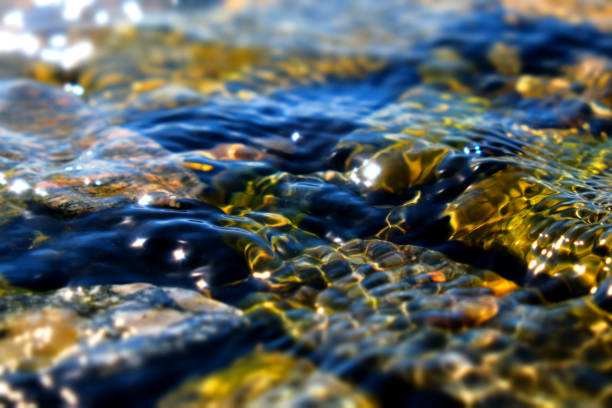 istock Cristal river, waterfall glowing water background, stones, rapids and boulders. Texture clear cold sea water with reflection sunlight. Falling and flowing water. Scenery lake. Shallow DOF 2187540598