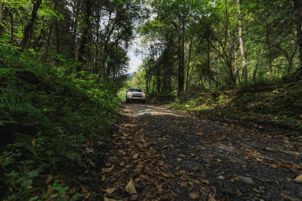 istock Driving offroad car on trail in high altitude forest mountain 2187543686