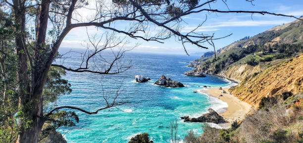istock Julia Pfeiffer Burns State Park in Monterey County, California 2187546609
