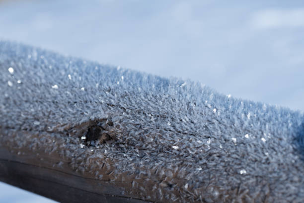 Frost on a cold winter morning photographed with a macro lens