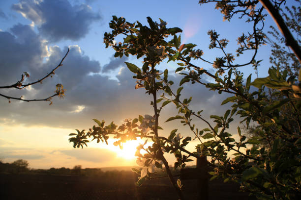 istock a sunset with clouds and a sun in the sky 2187550687