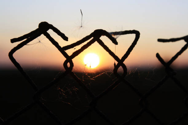 spider web is hanging from a chain link fence