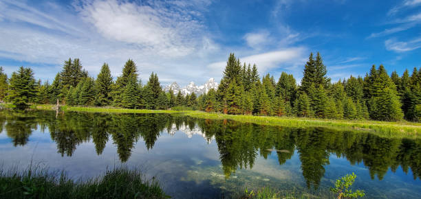 istock Trees reflection on snake river in Grand Teton National Park 2187554860