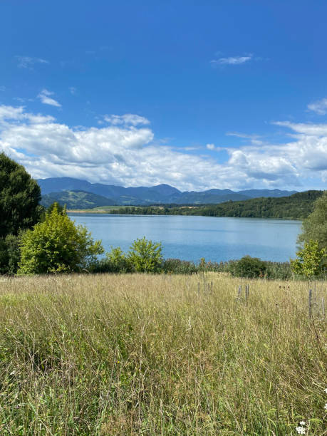 istock Lake Landscape with Meadow and Mountain Backdrop in Summer 2187555521