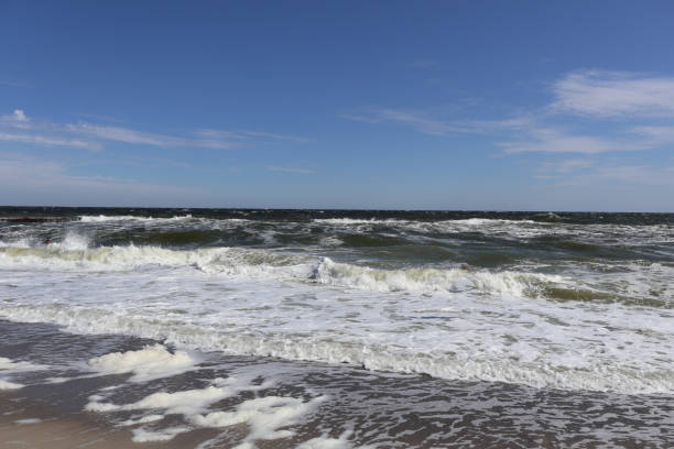 istock Foamy Waves Rolling Onto a Sandy Beach Under a Clear Blue Sky 2187557720