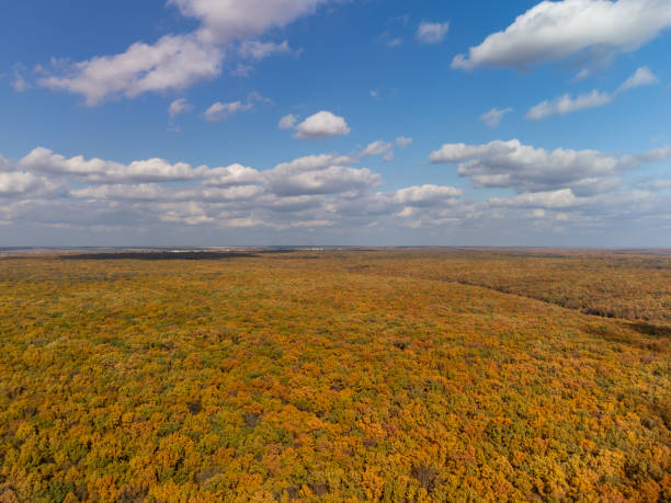 istock Aerial colorful autumn forest with scenic blue sky 2187557908