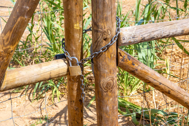 istock Rustic wooden gate secured with chain and padlock with green plants visible behind 2187564352