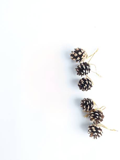 istock ine flower decorations for Christmas events 2187565446
