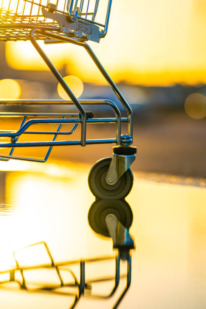 Empty shopping cart in water in sunset light