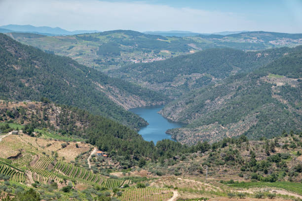 istock Flanked by mountains and vineyards, the Tua River 2187572882