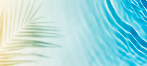 istock palm leaf shadow at sand beach with sea water wave, abstract beach vacation background concept with copy space for travel destination, beach holiday or wellbeing outdoors in summertime 2187586219