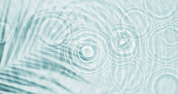 palm leaf shadow and drop circles with sunlight reflections on transparent water surface from above, water texture background concept with copy space for wellnes, body and beauty care or travel sombra de hoja de palma y círculos de gota con reflejos de luz solar en la superficie transparente del agua desde arriba, concepto de fondo de textura de agua con espacio de copia para wellnes, cuidado del cuerpo y de la belleza o viajes