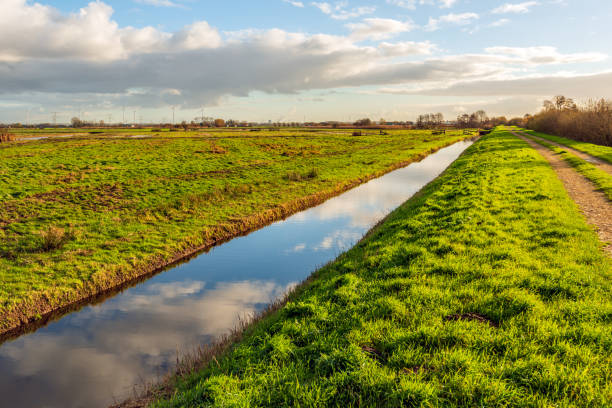 istock Dutch polder landscape with a straight ditch 2187586298