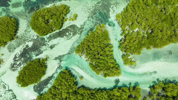 istock Top view of Beautiful sandy beach. 2187587084
